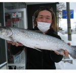 入舸漁港で、岡崎さんが釣ったアメマスは58.5cm,2.4kg