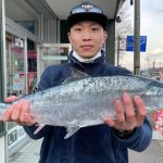 澁谷さんは樽岸で2.3kgを釣りました。