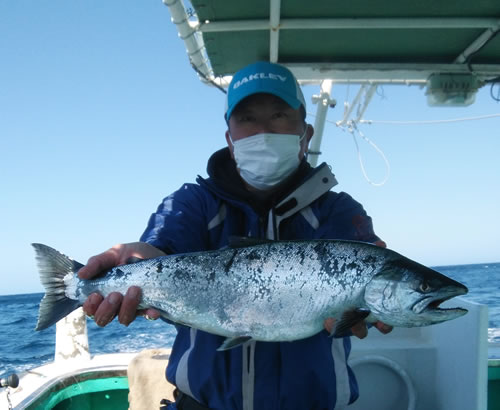 札幌市の石塚さんが浜丸で3kgを釣りました。