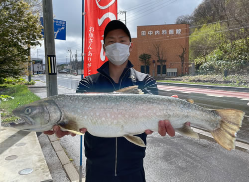 渋梨子さんの今季2匹目の70.5cmは4.1kg