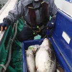 札幌市の鈴木さんが1m08cmの大物を釣りました