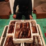 札幌市の宮崎さんの大イカと良い釣果