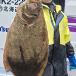 帯広市のシンナさんが82cmの大物をゲット