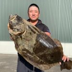中野信也さんのヒラメ78cm,4.95kg