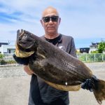 大下さんのヒラメ69cm,3.6kg
